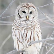 Carol Williams's photo