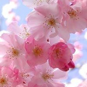 Agnes Wagner's photo