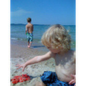 Brian Tanis's photo