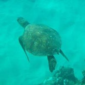 Christopher Delmas's photo