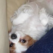 Amanda Ellsworth's photo