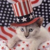 Leslie Cobb's photo