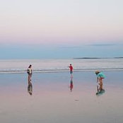 Meredith Verrill's photo