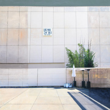 New works LA County Museum