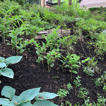 Ravine Restoration and Stabilization