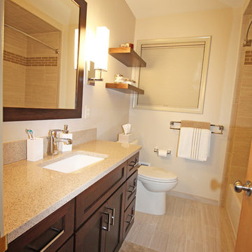Compact Transitional Bath - Saint Clair Shores, MI