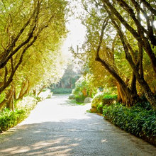 drive way entrance