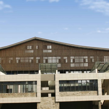 dassoXTR Rain Clad Siding in Ningbo Liangzhu World
