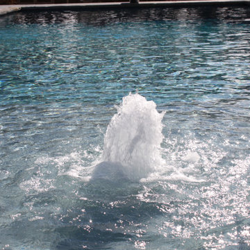 18' x 44' with a diving board