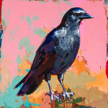 Crow #3
