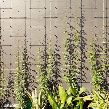 Green Facades
