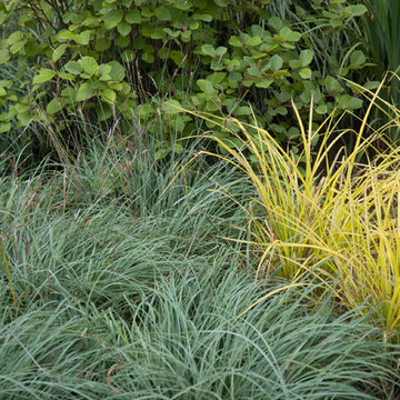 Longwood Garden