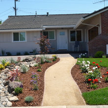 Landscape Ideas