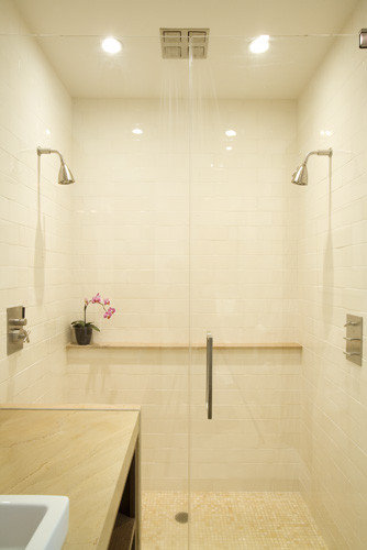 Two Shower  Heads Design Ideas  Remodel Pictures Houzz