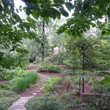 Rain Garden Installations