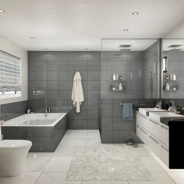 Contemporary Bathroom Reno