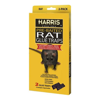 Tomcat 0360710 Pres/Set Mouse Trap 2 Pack: Mouse & Rat Traps