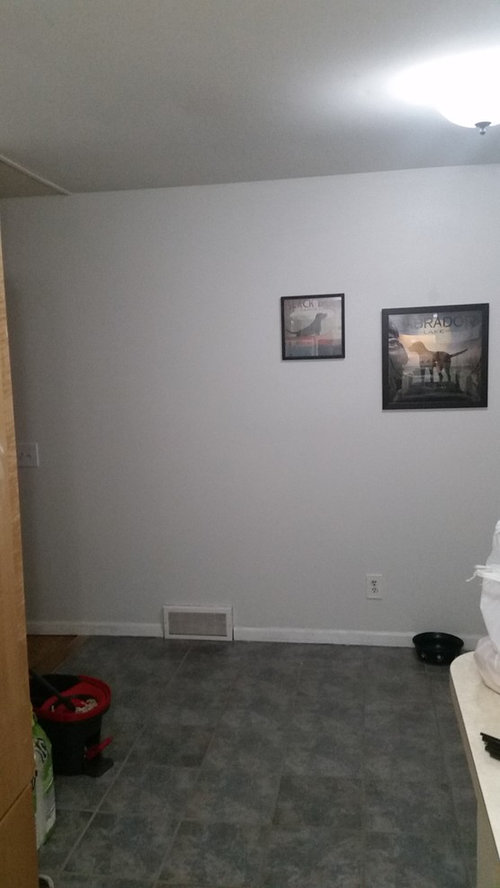 This large wall in my kitchen looks a little blank