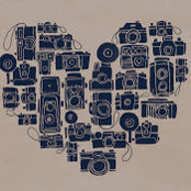 Loreen Shin's photo