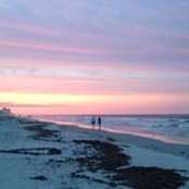 David N Christy Seals's photo
