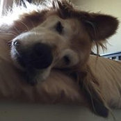 Ouliana Bonnet's photo