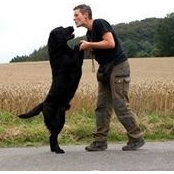 Katrin Korff's photo