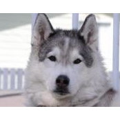 Fiona O'Connor's photo