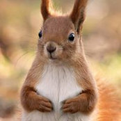 Bella Savitsky's photo