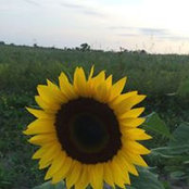 Marla Johnson's photo