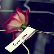 Omneya Foad's photo