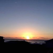 Sharon Lynch's photo