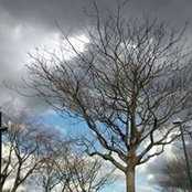 Zoe Eggleton's photo
