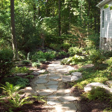 Landscape Design