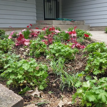 small mulch-less planting