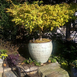 Container gardening - Products