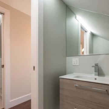 Chicago Home Remodel
