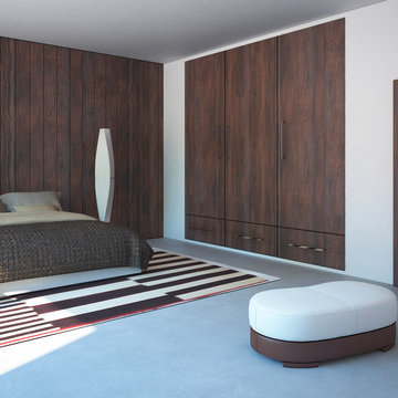 Modern Door,Wall panel,Closet Door Miami