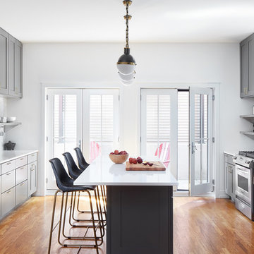 Wicker Park Kitchen Renovation