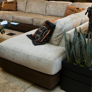 Desert Zen Contemporary Home