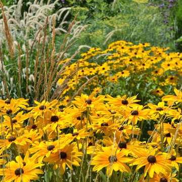 Plant Material- North Bay
