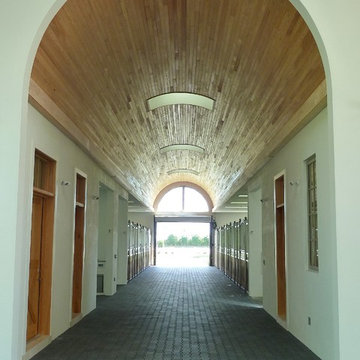 Wellington Equestrian 2