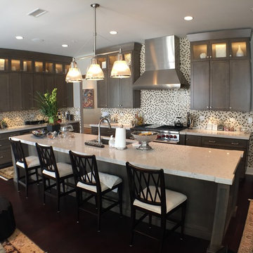 Burr Ridge IL Repeat Client Condo Downsizing