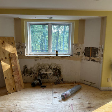 Upcoming Milford kitchen Renovation