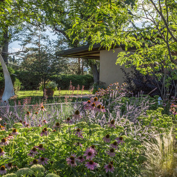 Modern Meadow Landscape Design