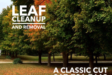 Leaf Clean Up