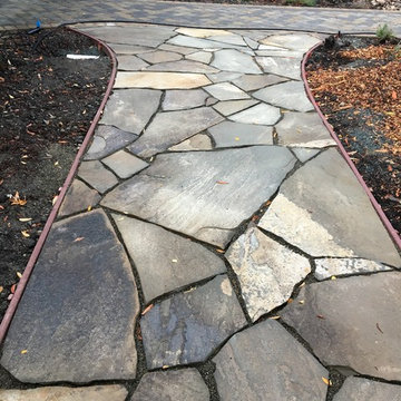 Front Yard Remodel