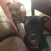 Barbara Hohner's photo