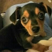 Lisa Bressner Rettke's photo
