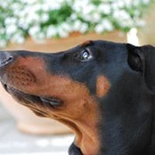 Jan Aronson's photo