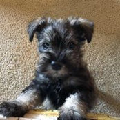 Dusty O'Rourke's photo